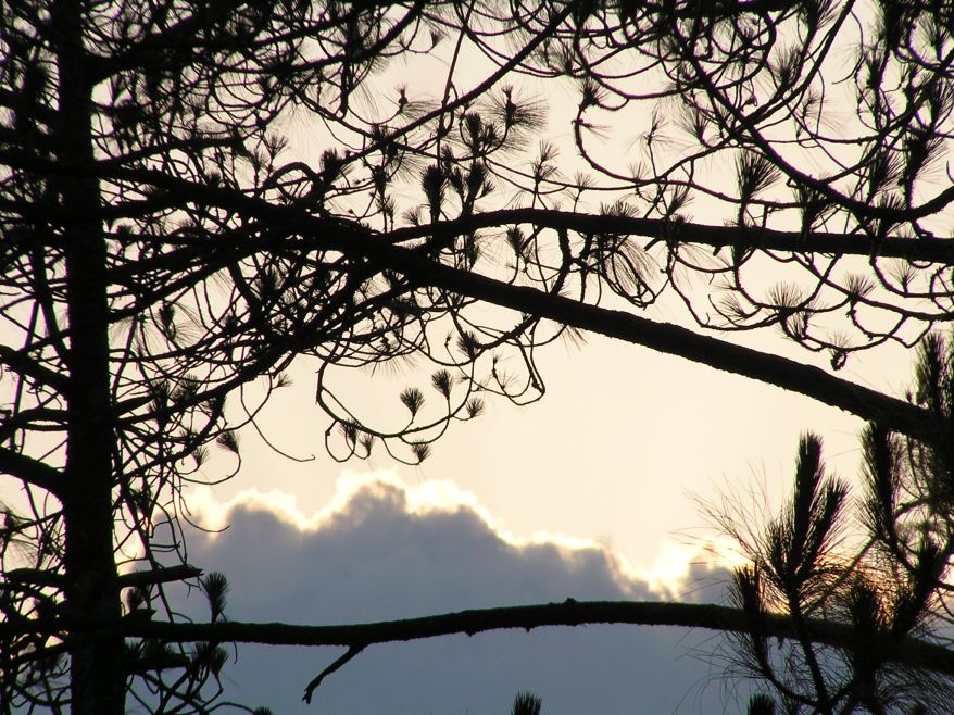Early morning at Kausani