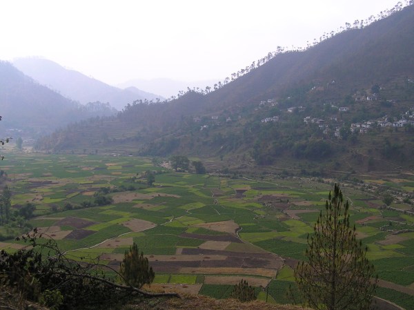 Somewhere along the road to Kausani