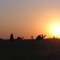 Sunset on dunes
