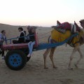 Camel Cart
