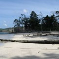 andaman trip 143