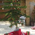 Christmas tree at&nbsp;ashram