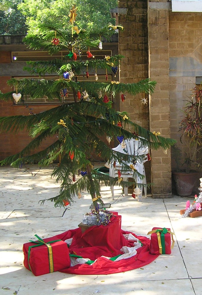 Christmas tree at Auroville