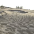 sand dunes