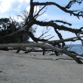 andaman trip 140