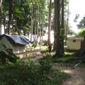 andaman trip 158