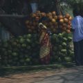coconut vendor
