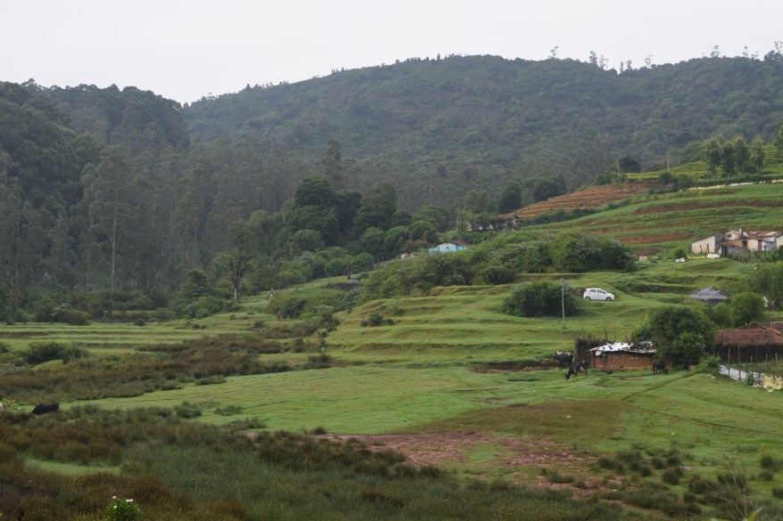 Somewhere along the trail