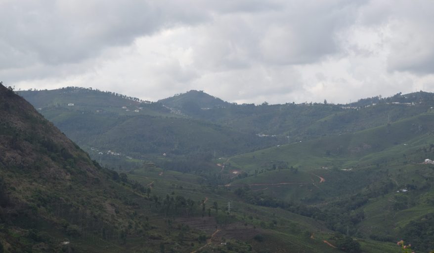 Verdant rolling hills