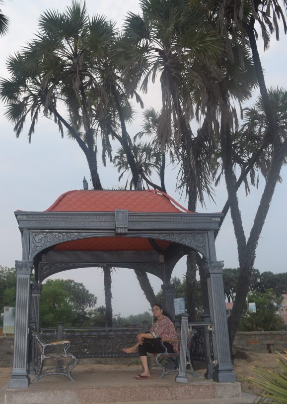 Hoka palms near the sitout pavilions along the Nagoa beach