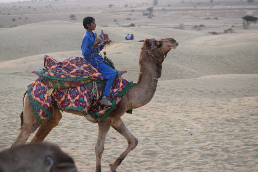 Young camel rider racing his ride