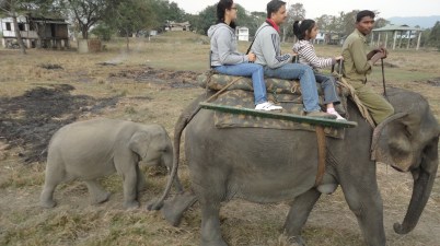 Babu accompanying us on safari...