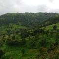 Sahyadri hills of Western Ghats draped in&nbsp;greens
