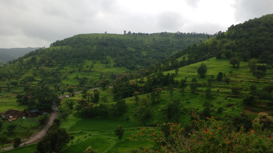 Sahyadri hills of Western Ghats draped in greens