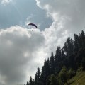Para gliders