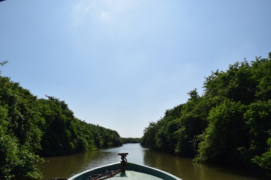 Sailing through one of the stream at mangrove forest