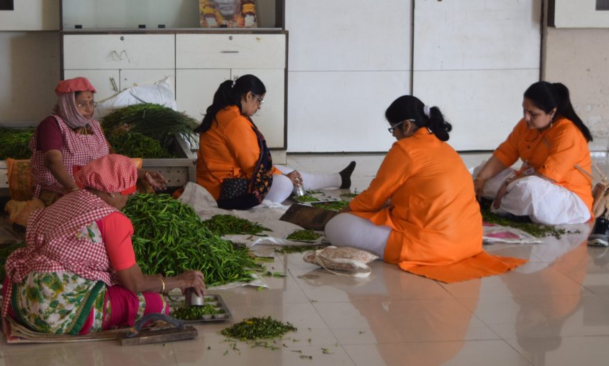 Volunteers in kitchen sorting vegetables