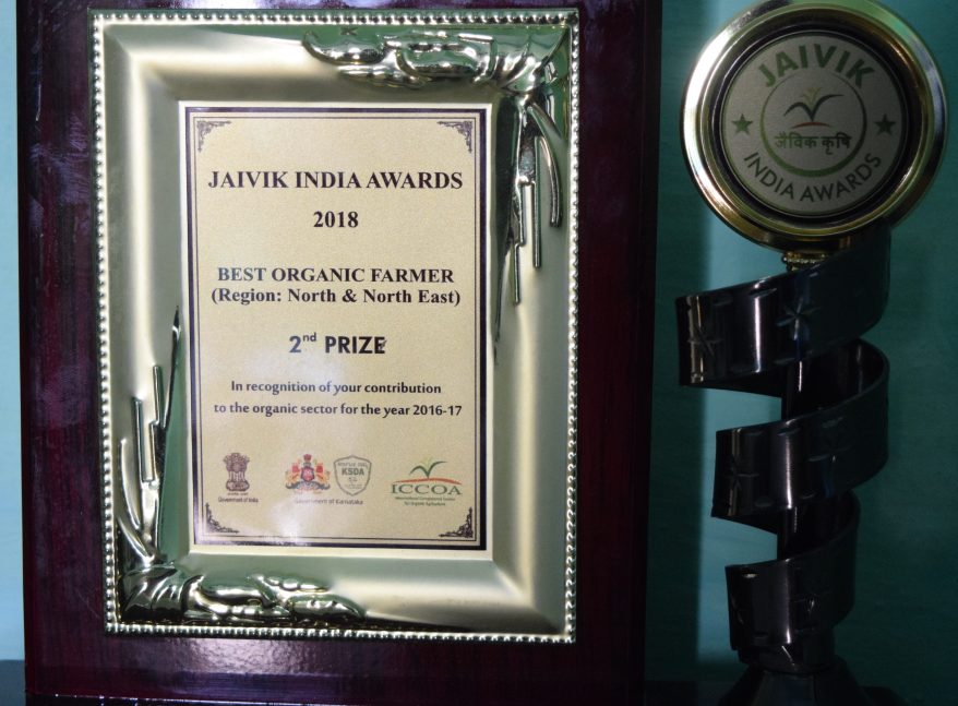 one of many awards and accolade