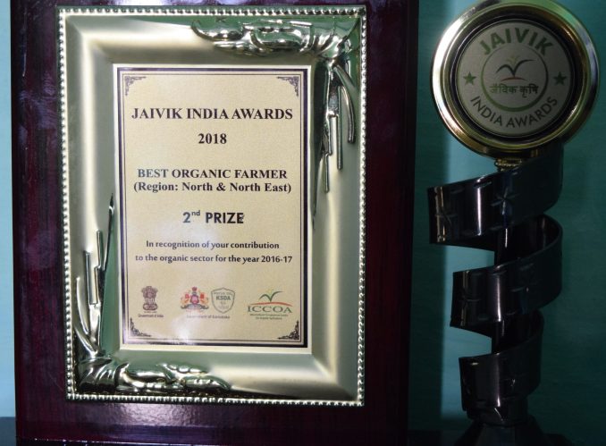 one of many awards and accolade