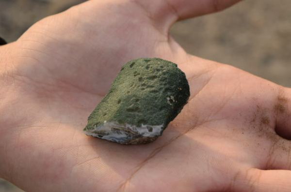 A porous rock