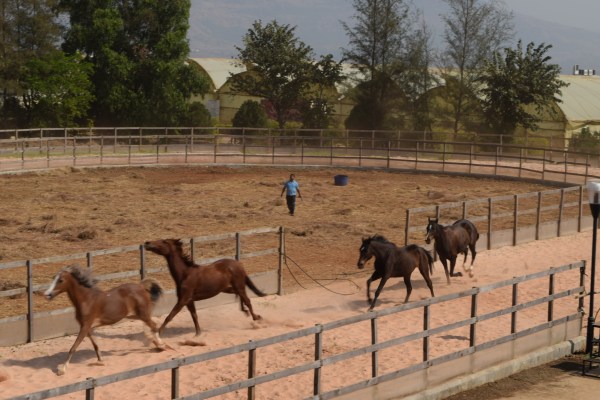 From the viewing gallery