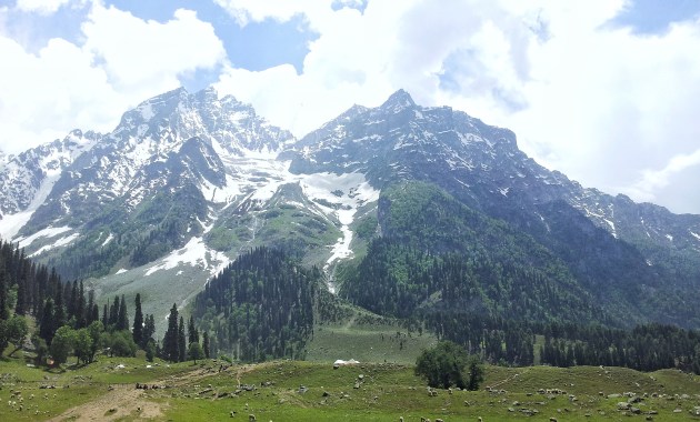 Kashmir Valley. Pic by Mayuri Patel