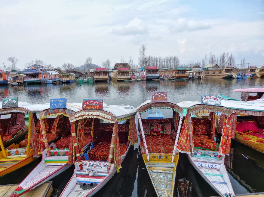 Shikaras and houseboats at Dal lake. Pic by Deepak Dua