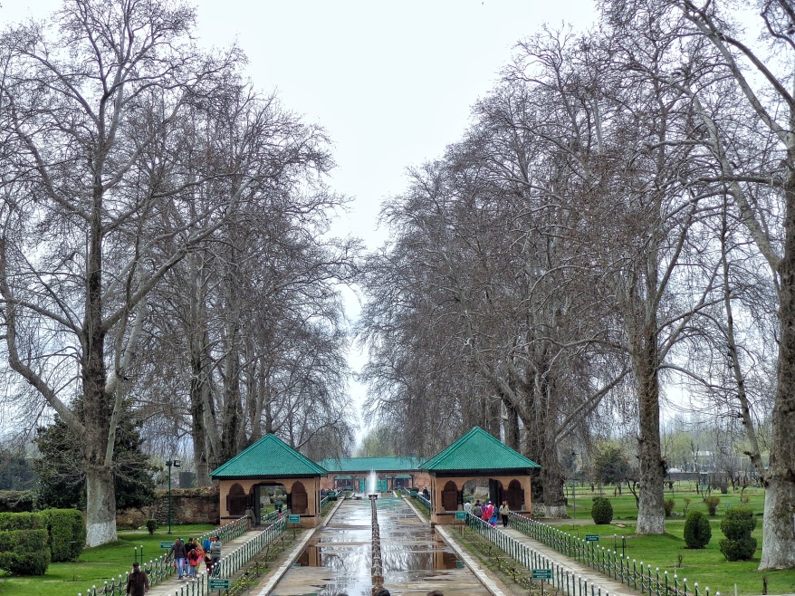 Mughal Garden At Srinagar. Picture from personal collection of Mr Deepak Dua(journalist and Film reviewer)