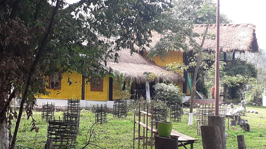 Thatched rooms with indigenous architecture