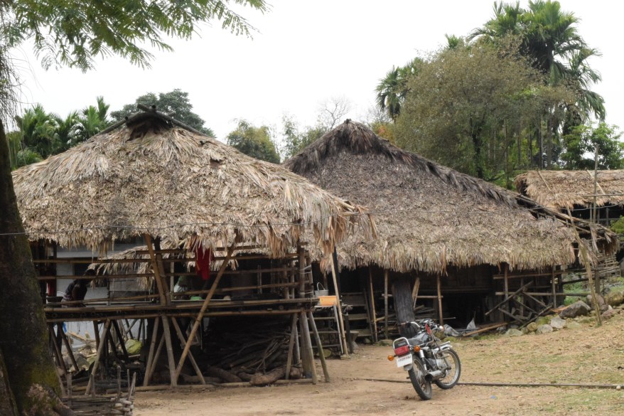 Huts of tribal village